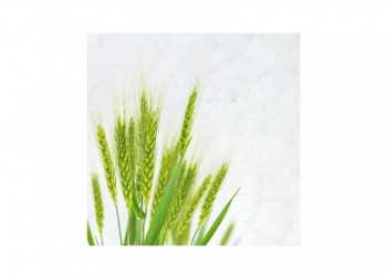 L’acide hyaluronique - sodium hyaluronate & hydrolized hyaluronic acid